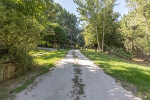 Un sentier pavé, bordé d’une végétation luxuriante et d’arbres, qui mène à une zone boisée.