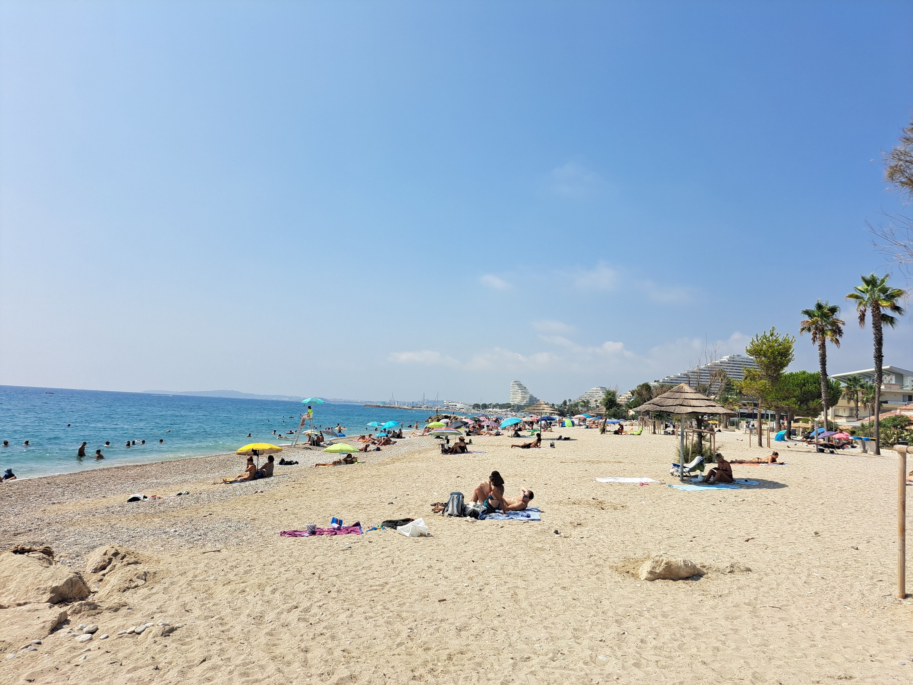 Une plage où l’on peut voir des gens bronzer et se baigner, des parasols et des palmiers.