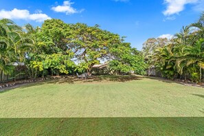 A well-maintained grassy lawn with a large tree in the center, surrounded by various tropical plants. - Ideal for Tradies. BBQ, WiFi, Pet friendly (Torquay)