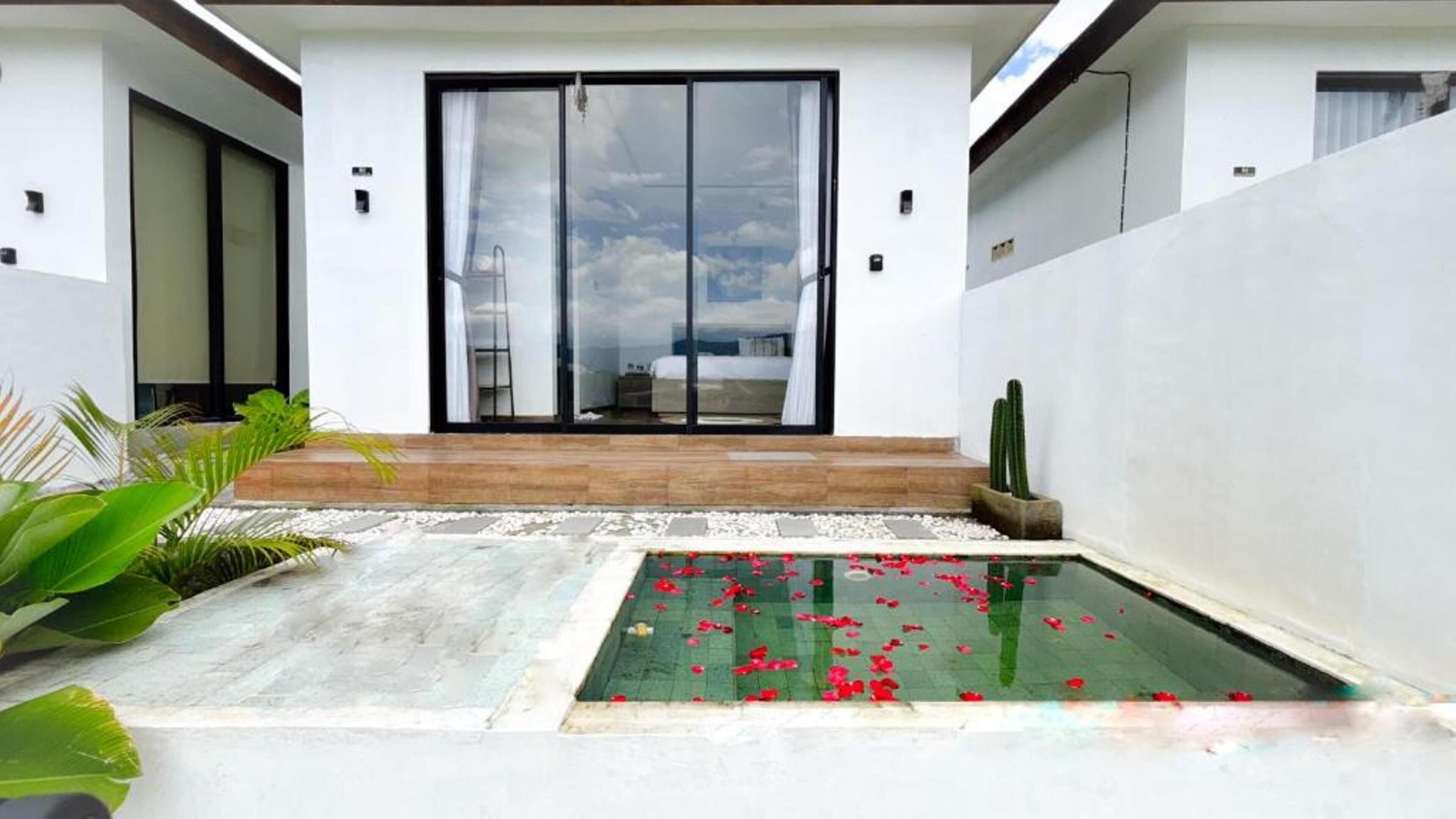 Entrada moderna de hotel con puerta de vidrio, una pequeña piscina con pétalos rojos y una planta de cactus.
