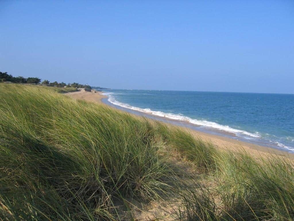 Playa