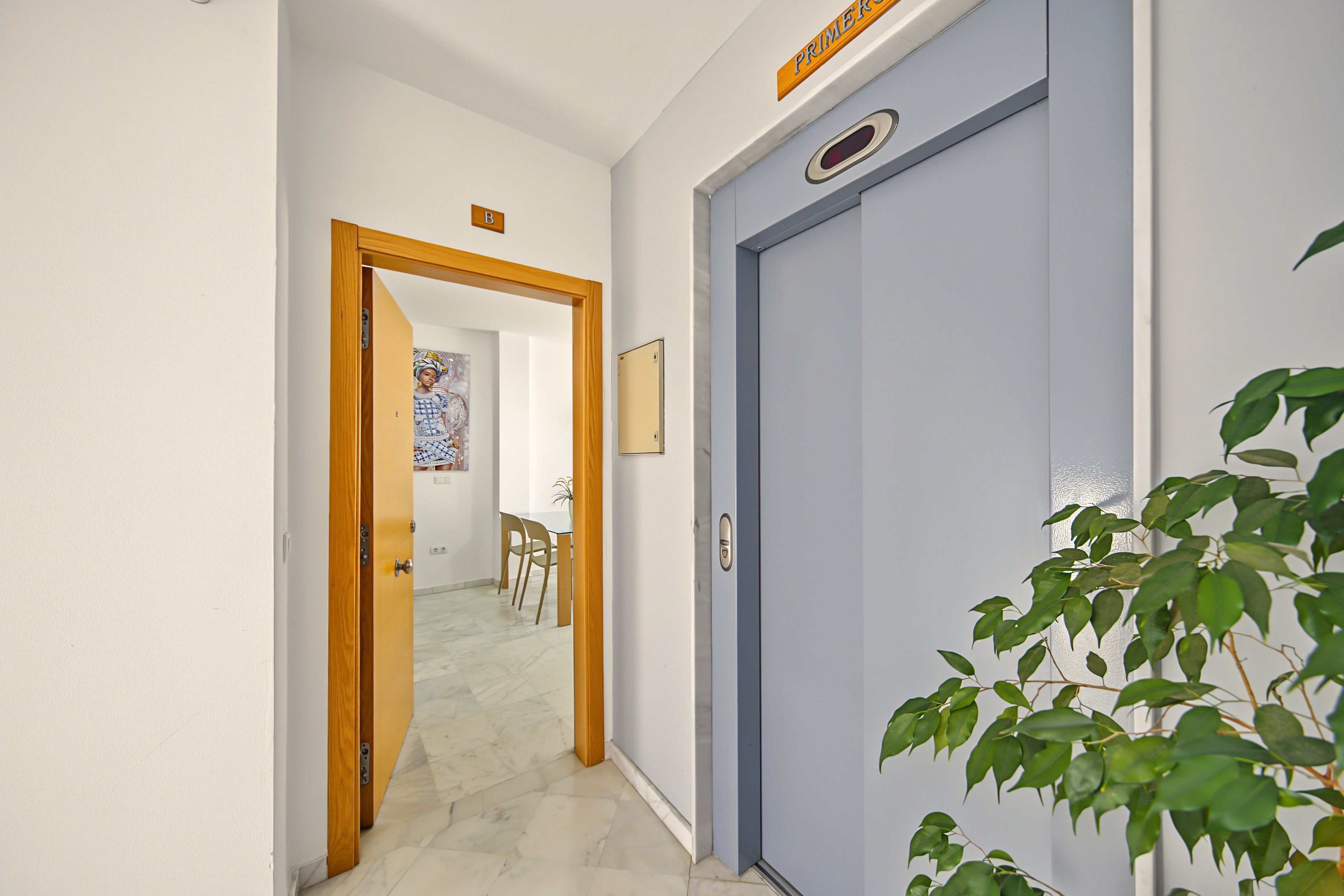 Un couloir avec une porte bleue, une porte en bois donnant sur une pièce, et une plante au premier plan.