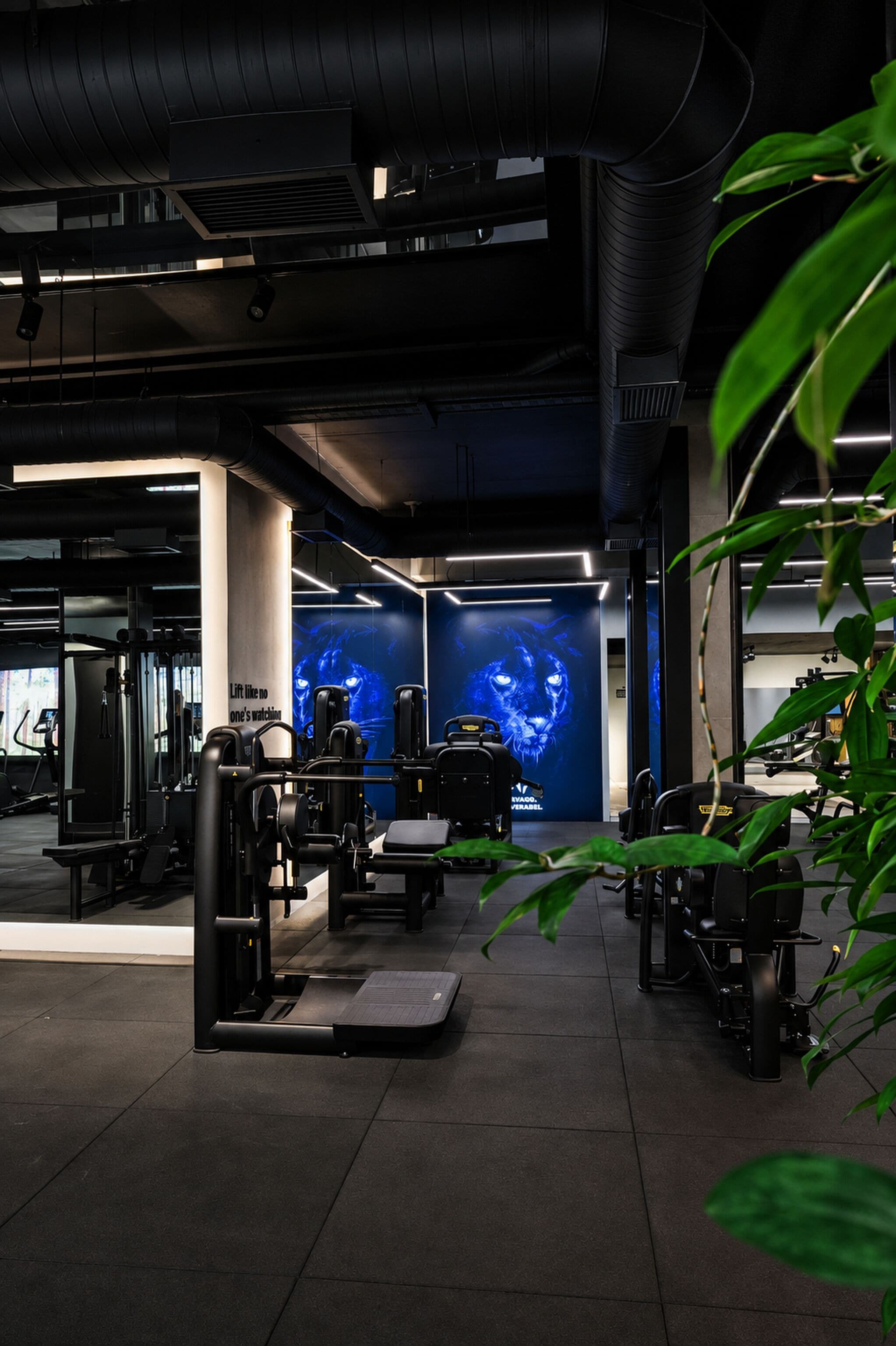 Sala de fitness