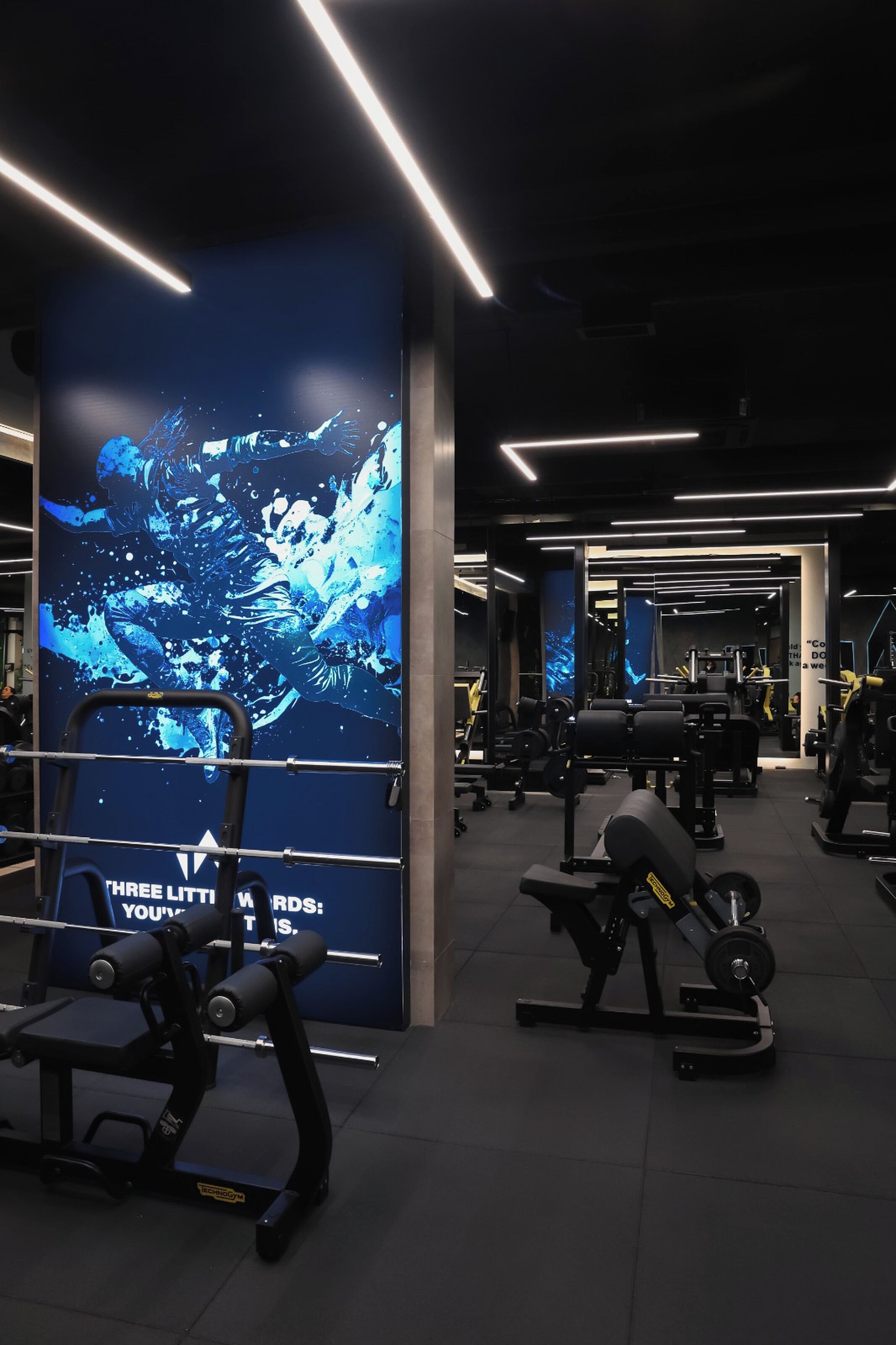 A modern gym with various exercise equipment, including a bench press and a squat rack.