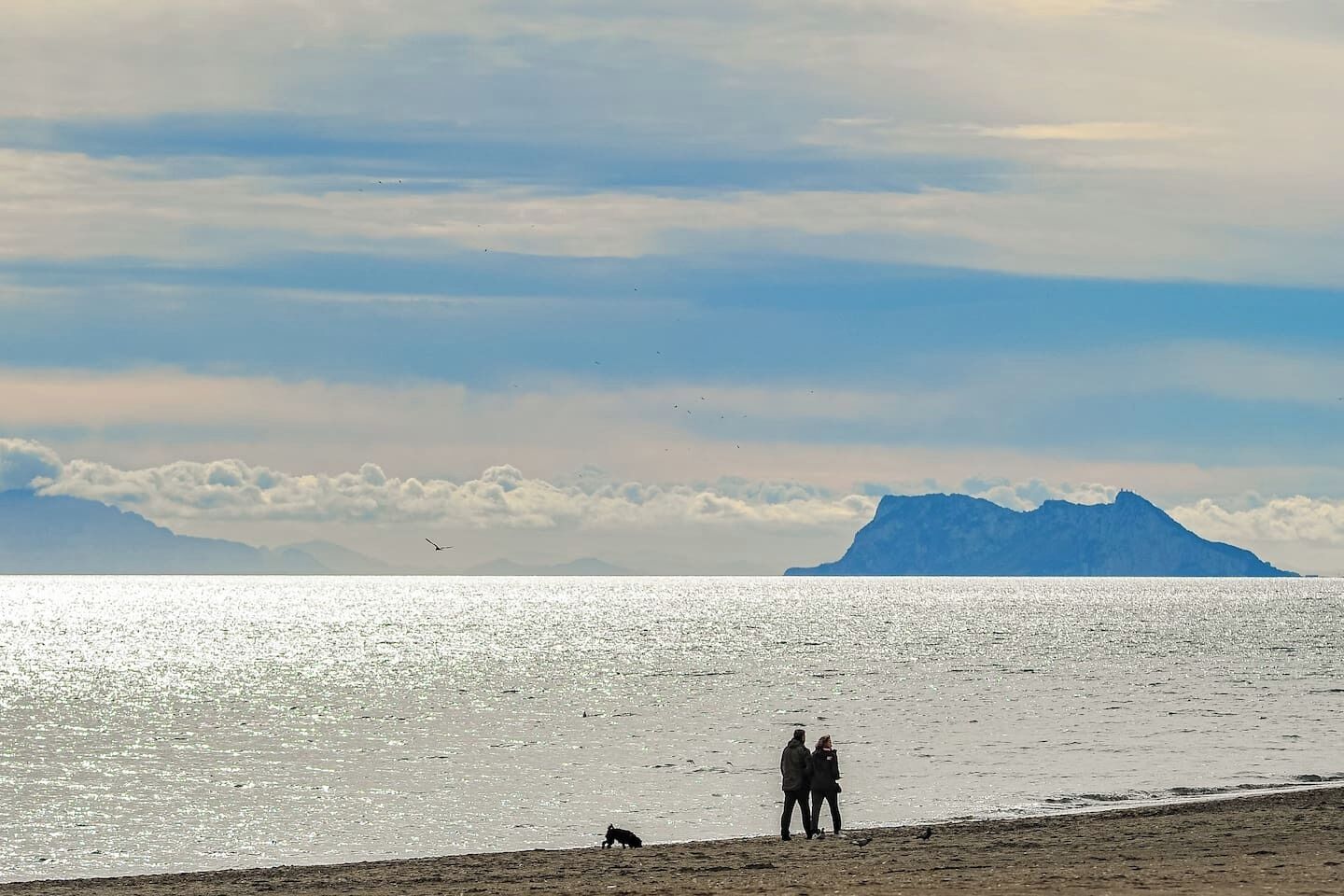 Une plage avec une montagne à l’horizon, un ciel dégagé et quelques oiseaux.