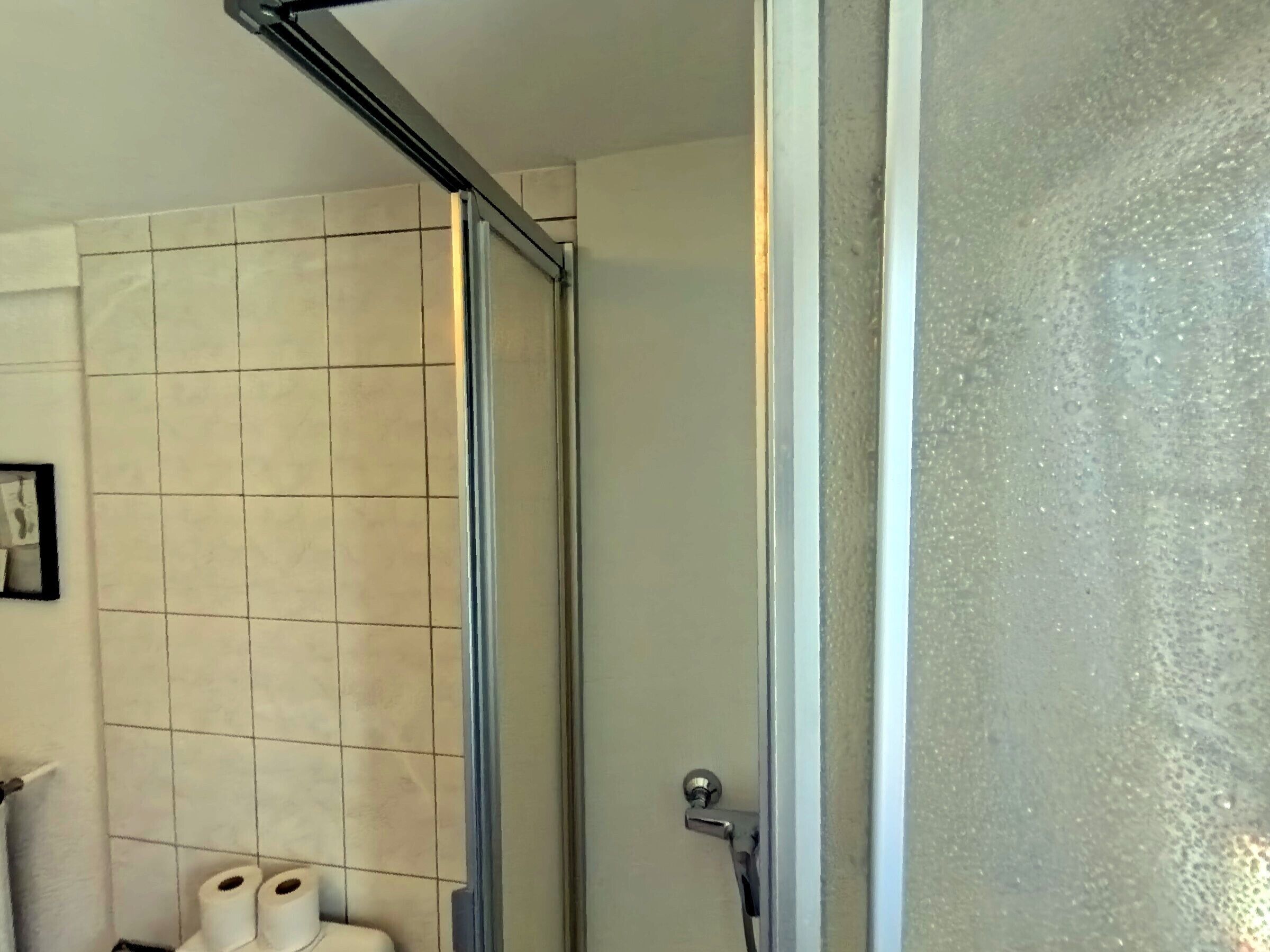 Een badkamer met een douche, toiletpapier en een handdoekhouder.