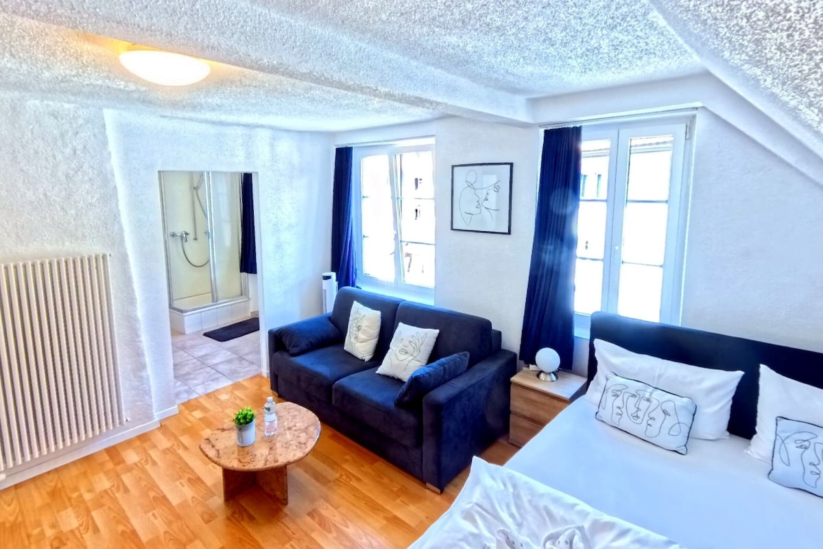 A modern hotel room with a sofa, a bed, a small round table, and a shower area.