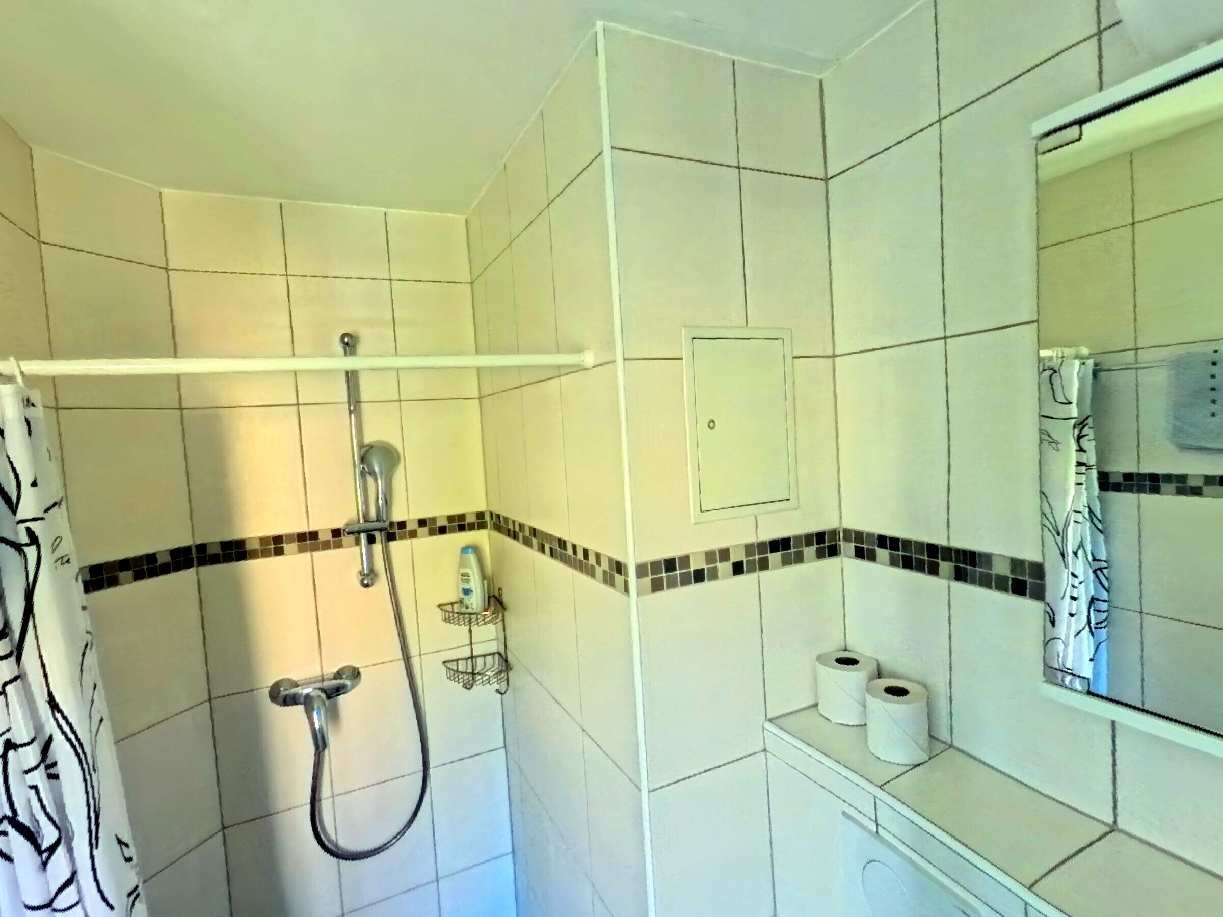 A bathroom with a shower, toilet, and a mirror.