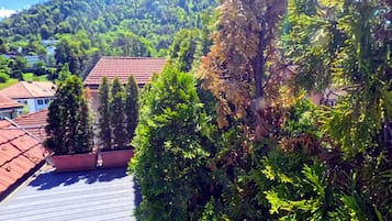 Ein Wohngebiet mit einem Haus mit rotem Ziegeldach, umgeben von dichter Vegetation und einem Hügel im Hintergrund.