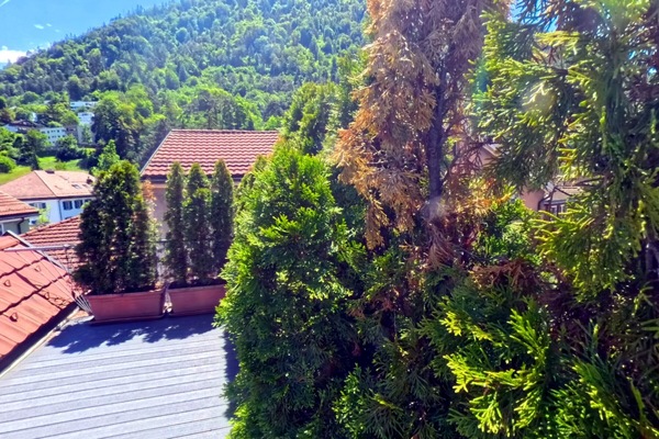Family Room, Balcony, City View | Terrace/patio