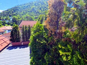 Un barrio residencial con una casa de techo rojo, rodeada de abundante vegetación y una colina al fondo.