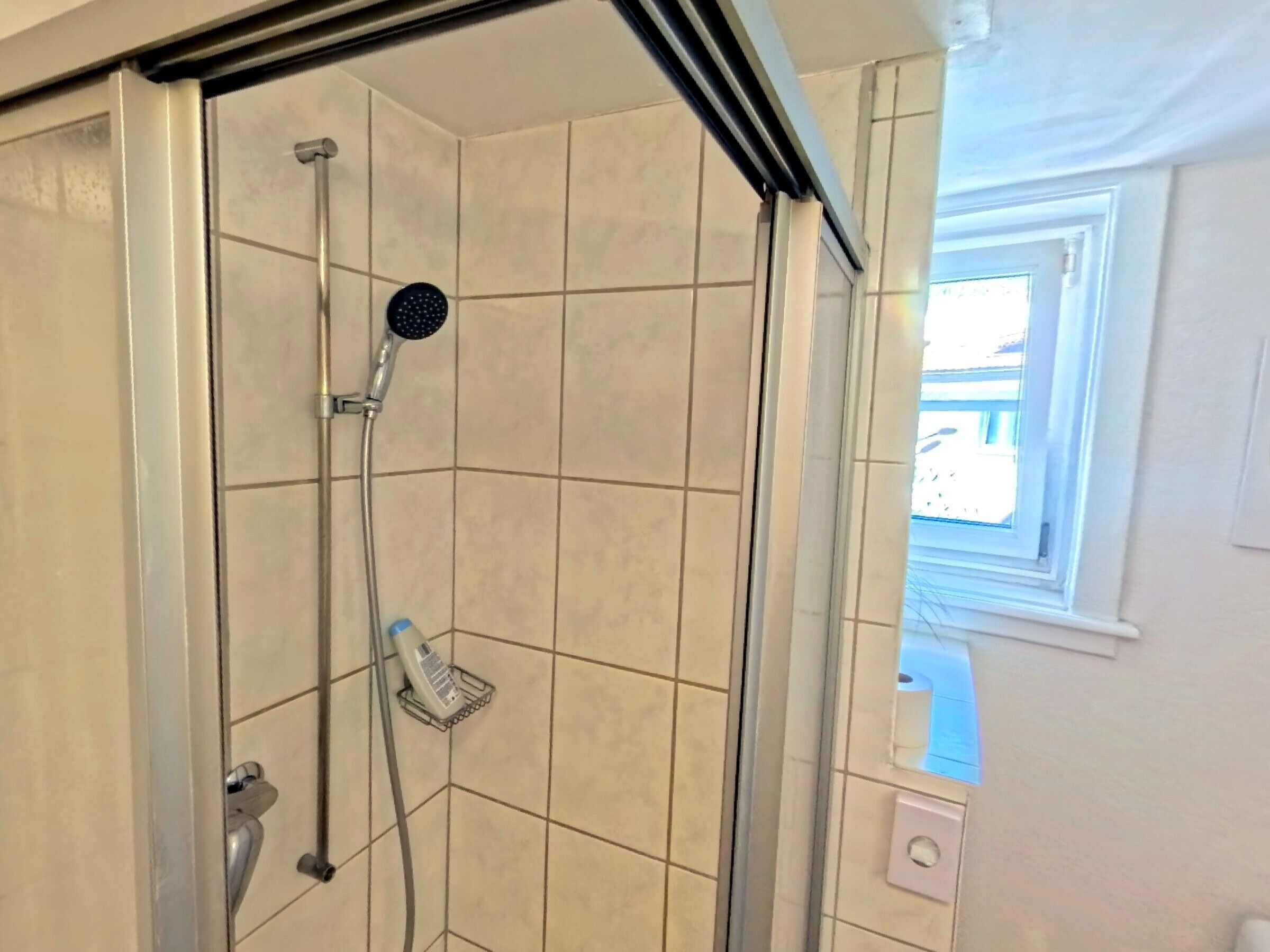 Een douche met een handdouche, een zeepdispenser en een raam met uitzicht.