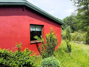 A red building with a window, surrounded by greenery.