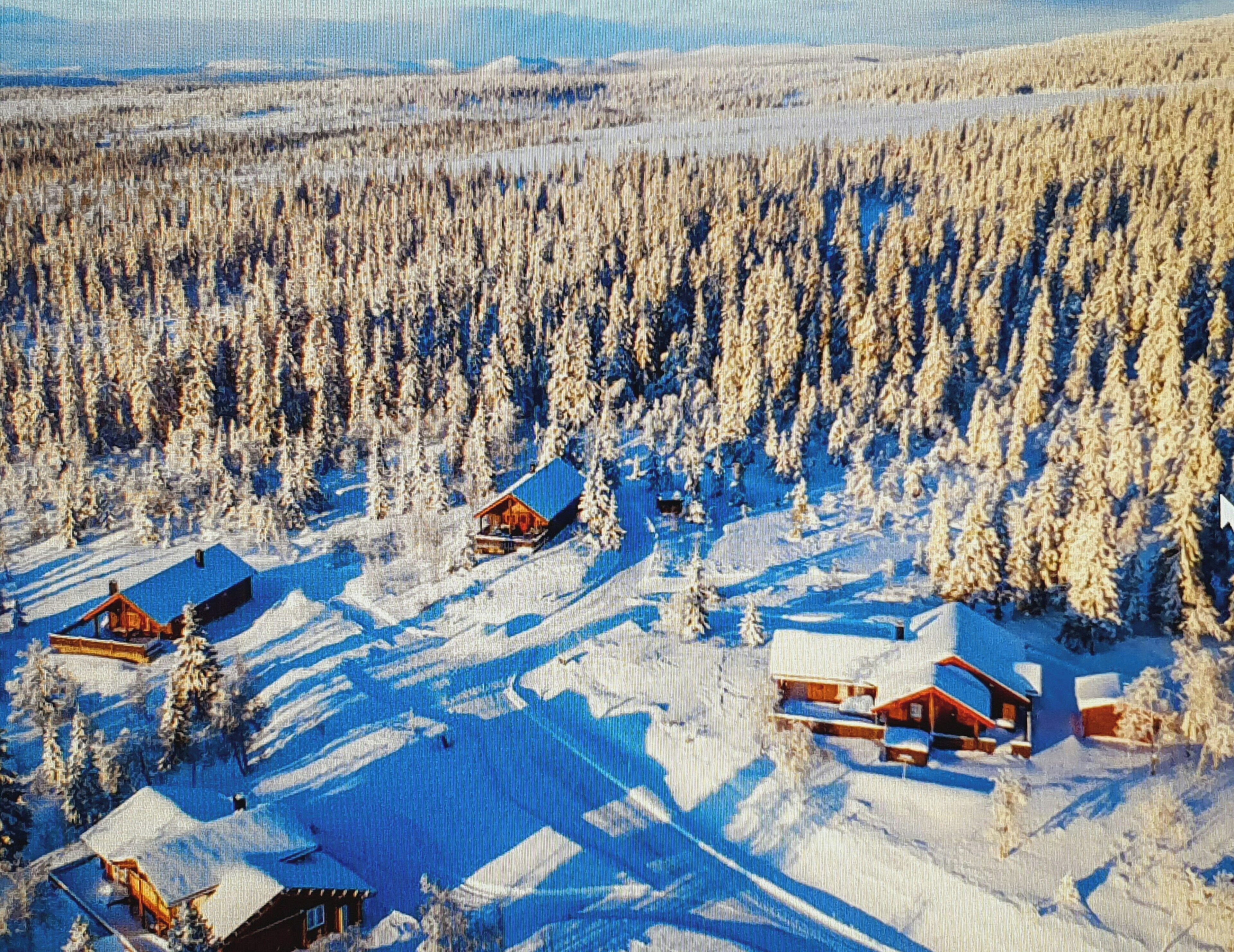 A remote cabin area with multiple wooden cabins surrounded by dense coniferous forest, snow-covered ground, and clear skies.