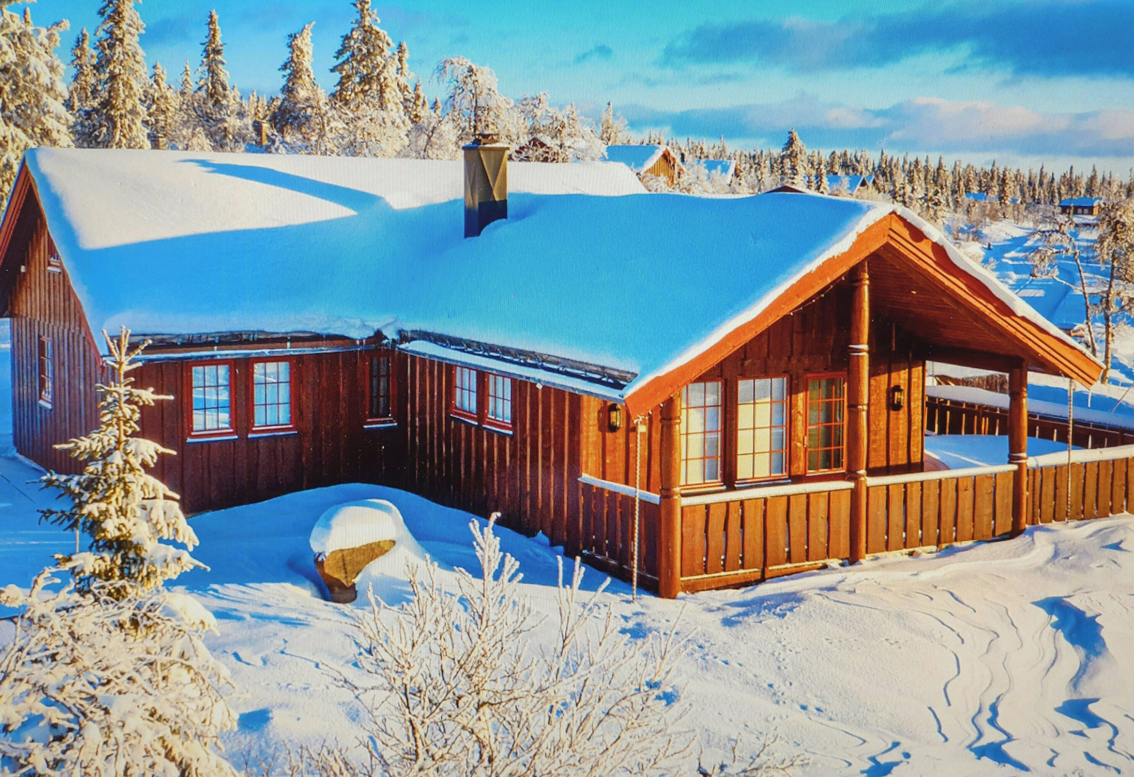 A wooden cabin with a snow-covered roof, surrounded by a forest.