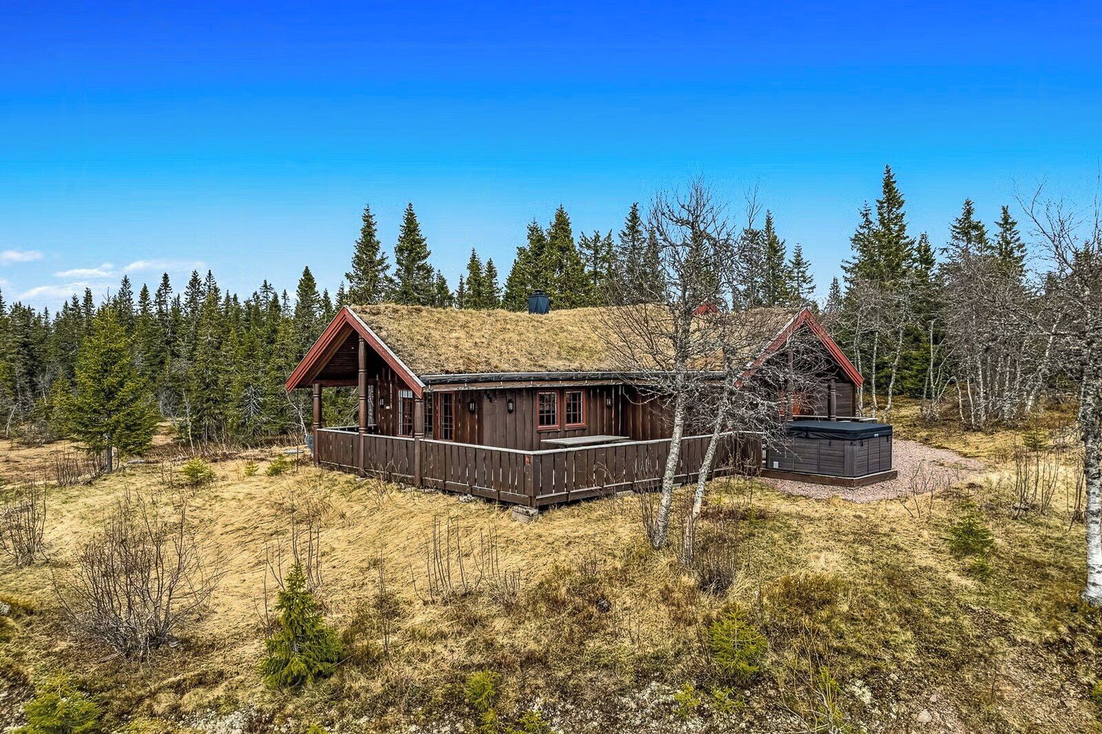 Une cabane dotée d’une terrasse en bois, d’un bain à remous et entourée d’une forêt.