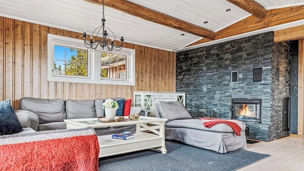 Una sala acogedora con chimenea de piedra, paredes de madera y un moderno juego de sofás.