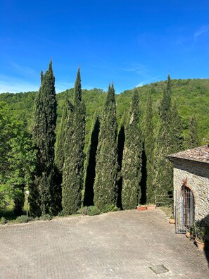 A paved courtyard with tall cypress trees and a stone building with a tiled roof. - Country House 'Le Mulina' with Wi-Fi (Barberino di Mugello)