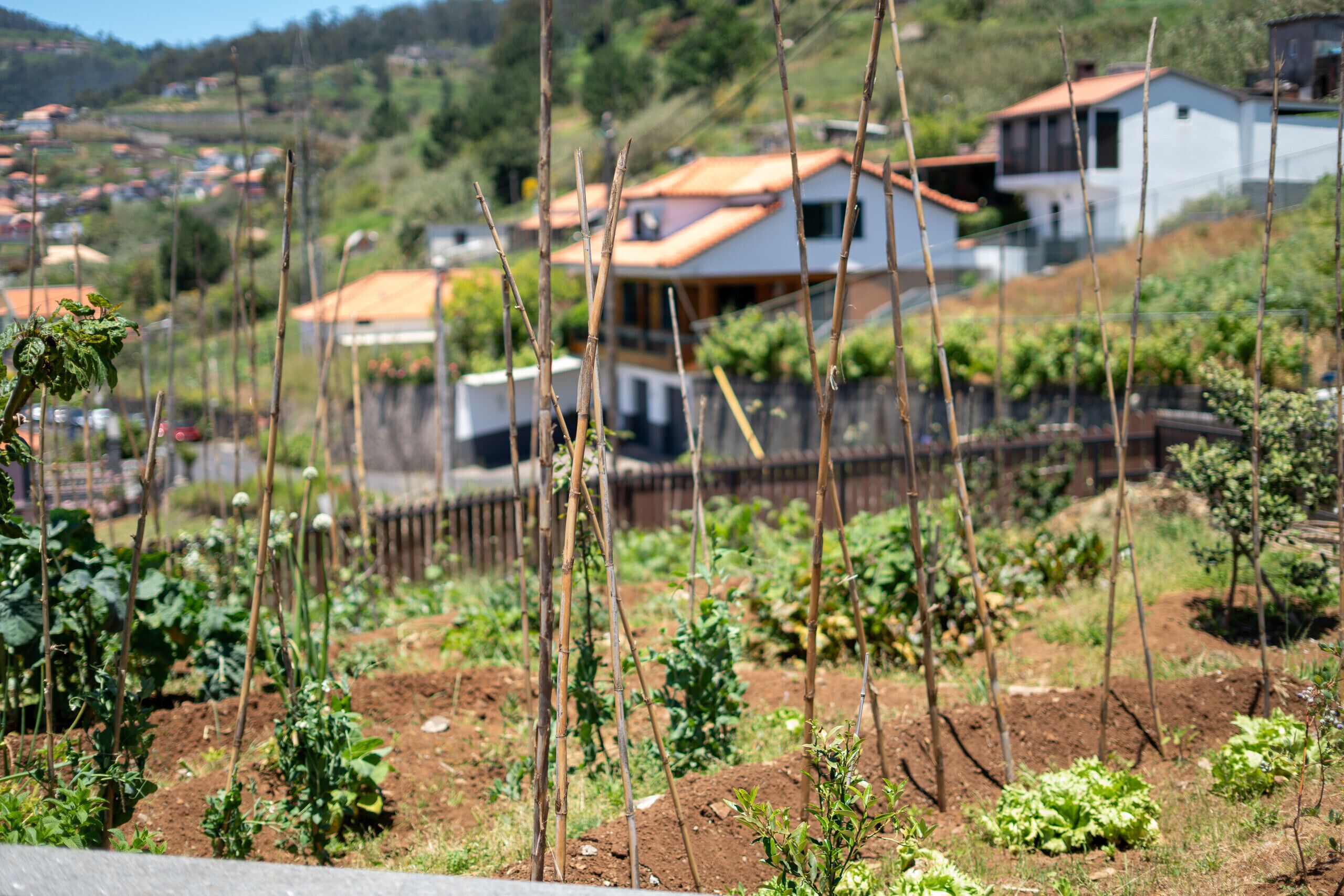 Jardines del alojamiento