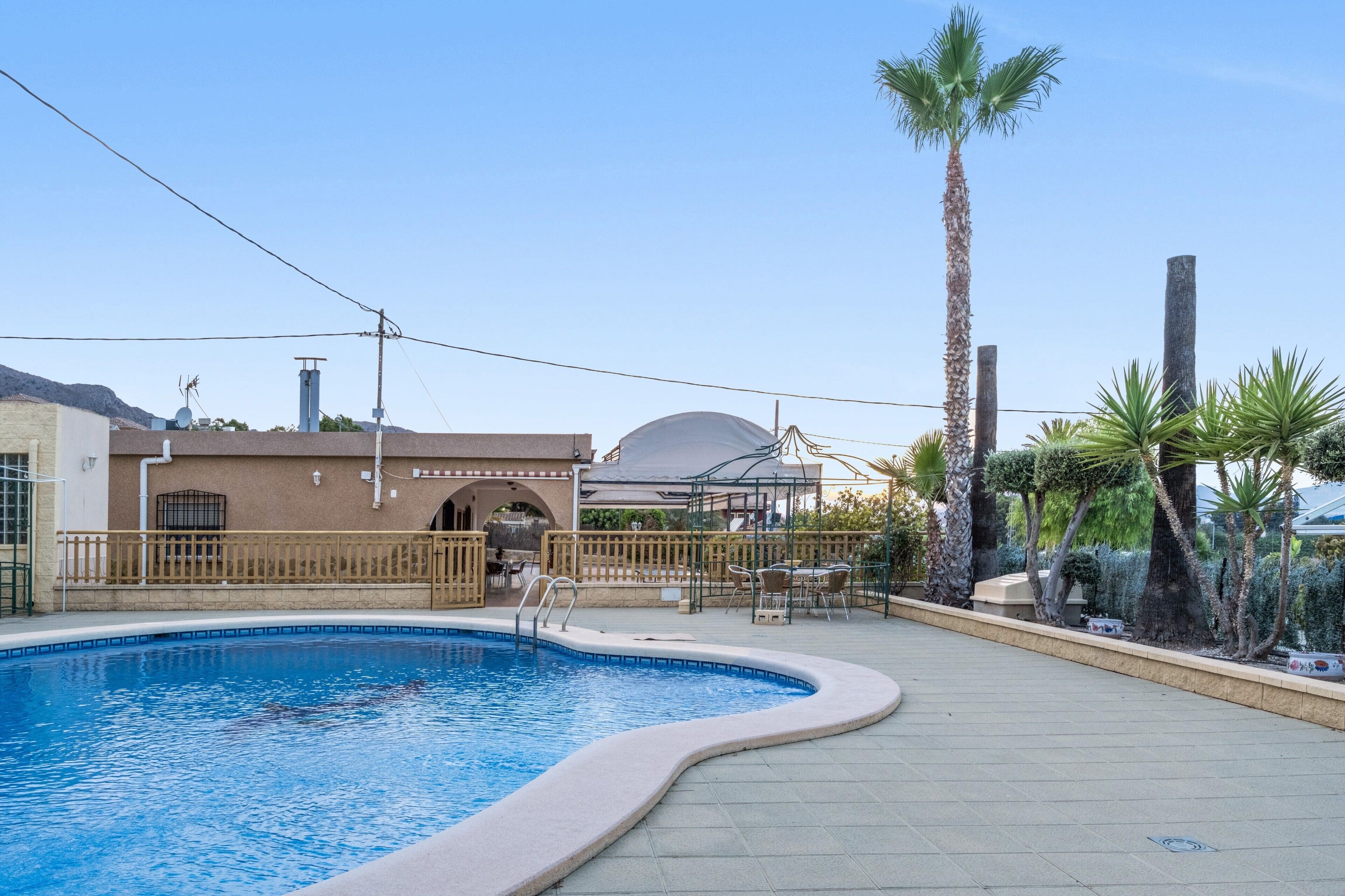 Une piscine à bord incurvé, un palmier et, au fond, un bâtiment surmonté d’une structure en forme de dôme.
