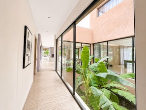 Ein Korridor mit einer Glaswand, einem gerahmten Bild und einer Pflanze.