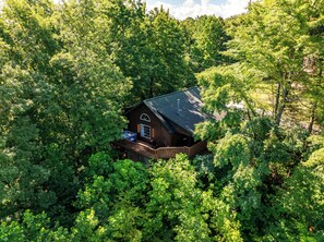 A cabin surrounded by dense forest, with a covered deck and a single window. - NEW Couples! VIEW, Barrel Sauna, Hot Tub, Fire Pit (Sevierville)