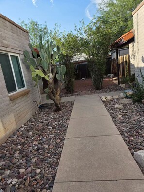 A concrete pathway leading to a building with a brick facade, surrounded by a variety of plants and a small cactus. - Peaceful 2-bedroom condo with AC in sunny Tucson (Tucson)