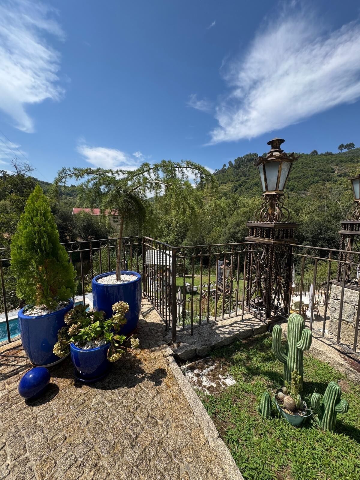 Un jardin avec des plantes en pot, une clôture en métal et un cactus.