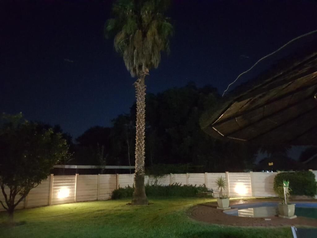 Un espacio exterior nocturno con una palmera, una estructura cubierta y una valla bien iluminada.