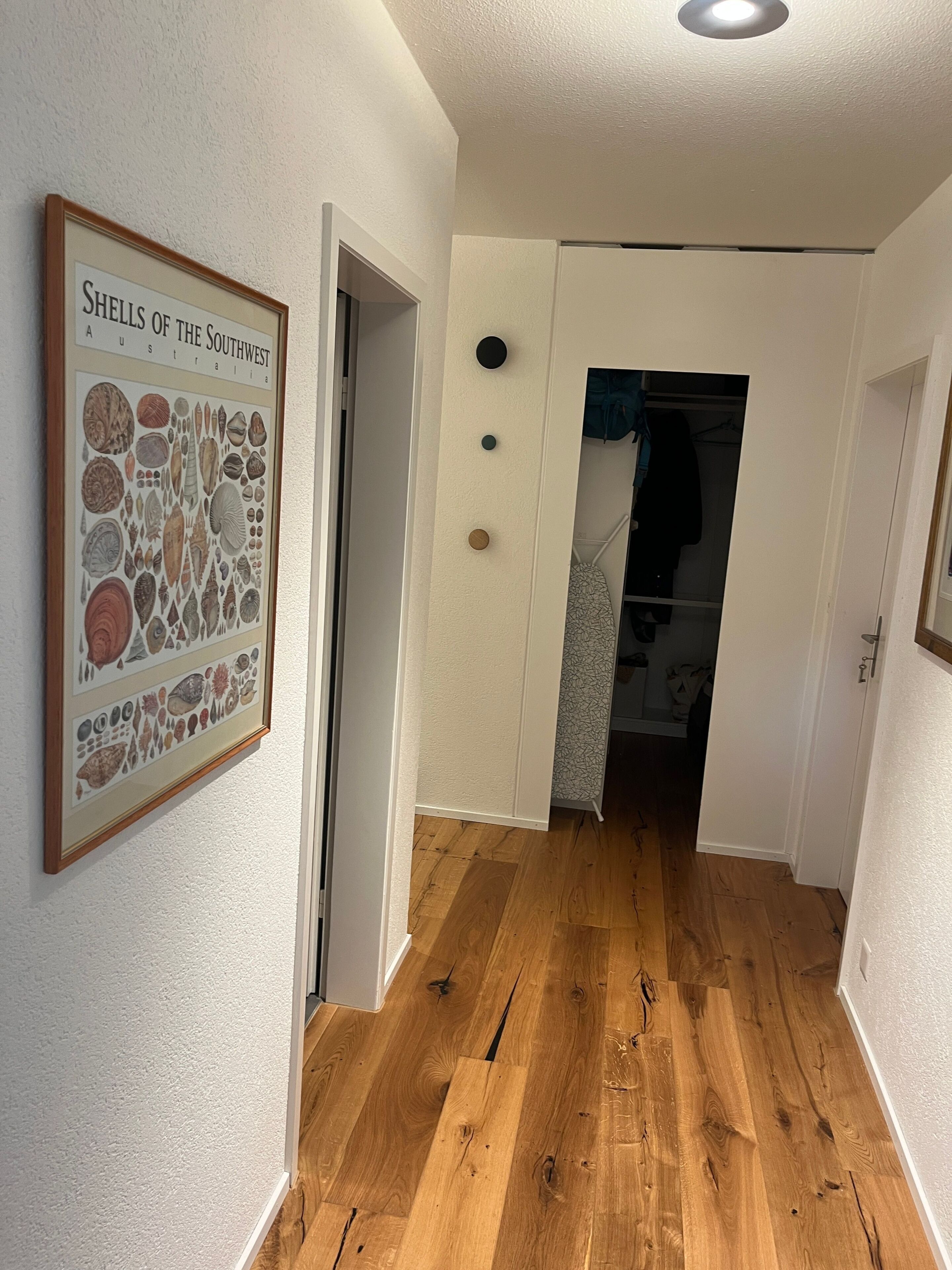 A hallway with wooden flooring, a framed picture of shells, and a closet with hanging clothes.