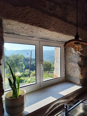 Eine Küche mit Steinwand, Topfpflanze, Hängeleuchte und Blick auf Windkraftanlagen durch ein Fenster.