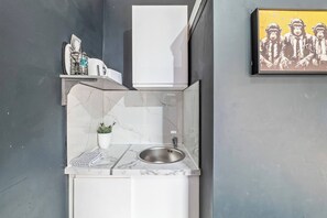 Eine kleine Küche mit Spüle, einem weißen Schrank und einem Blumentopf.