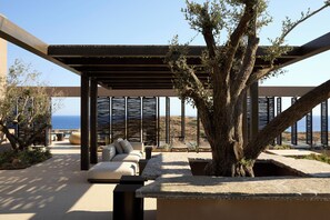 Ein Sitzbereich im Freien mit einer Pergola, einem großen Baum und Blick aufs Meer.
