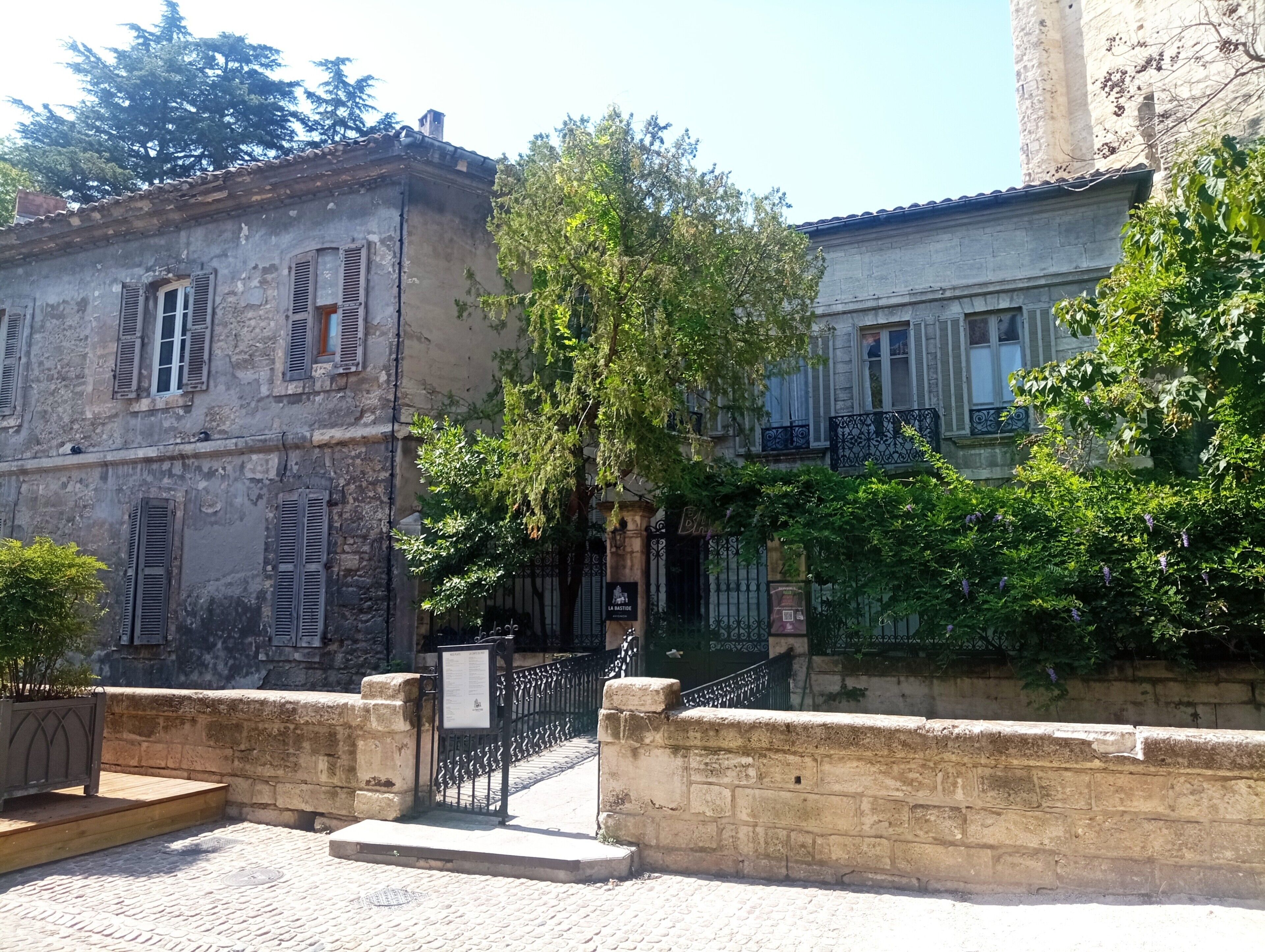 A cobblestone street with historic buildings, a wrought iron gate, and a tree in the foreground.