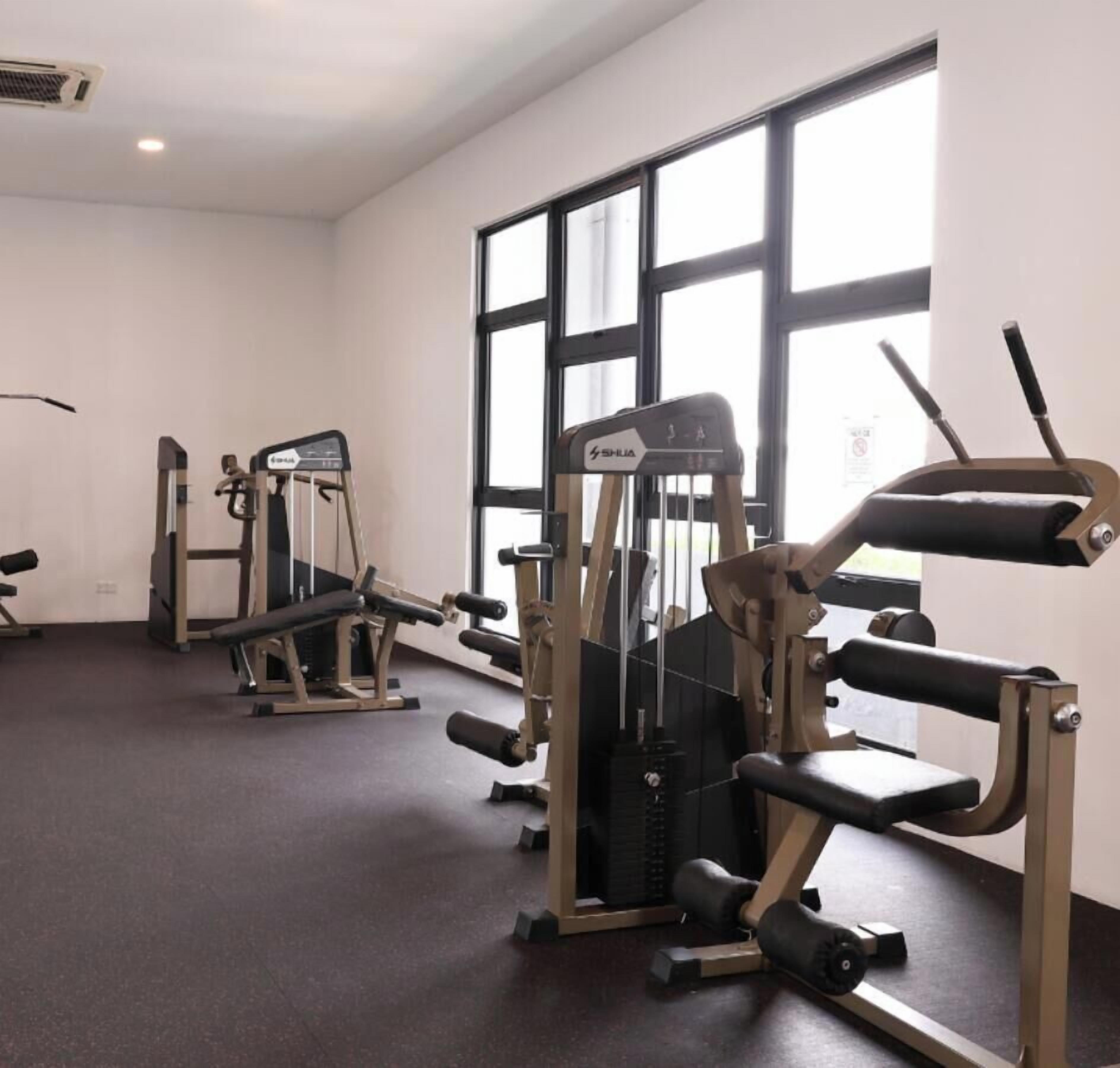Ett gym med olika träningsmaskiner, stora fönster och ett golv täckt med matta.