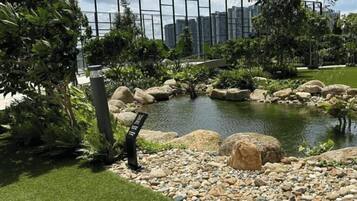 Un jardín ajardinado con un estanque, rocas y una valla.