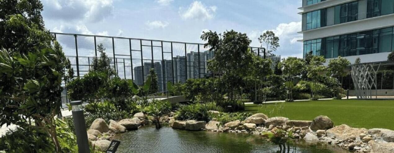 Zona ajardinada con un estanque, rocas y follaje, contigua a un edificio moderno con ventanales de vidrio.