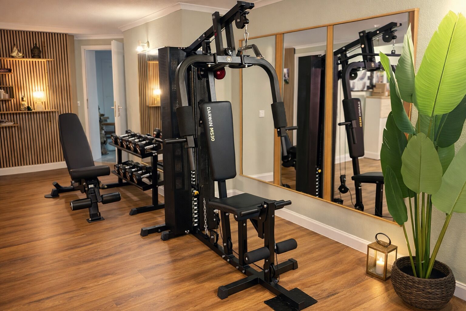 A home gym with exercise equipment, a large mirror, and a potted plant.