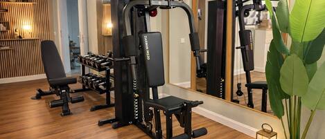A home gym with exercise equipment, a large mirror, and a potted plant.
