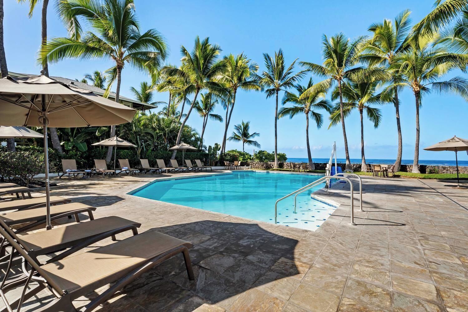 A pool area with lounge chairs and umbrellas, surrounded by palm trees and a view of the ocean.