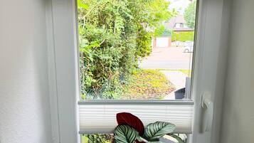 Une fenêtre avec des stores blancs, une vue sur une rue résidentielle et une plante aux feuilles rayées au bas.