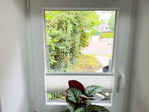 Ett fönster med vita persienner, utsikt över en bostadsgata och en växt med randiga blad i botten.