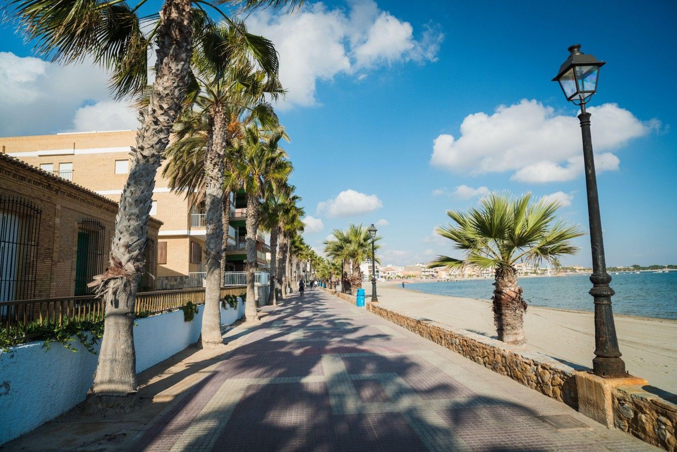 Une promenade en bord de mer bordée de palmiers, une plage et un immeuble doté de balcons.