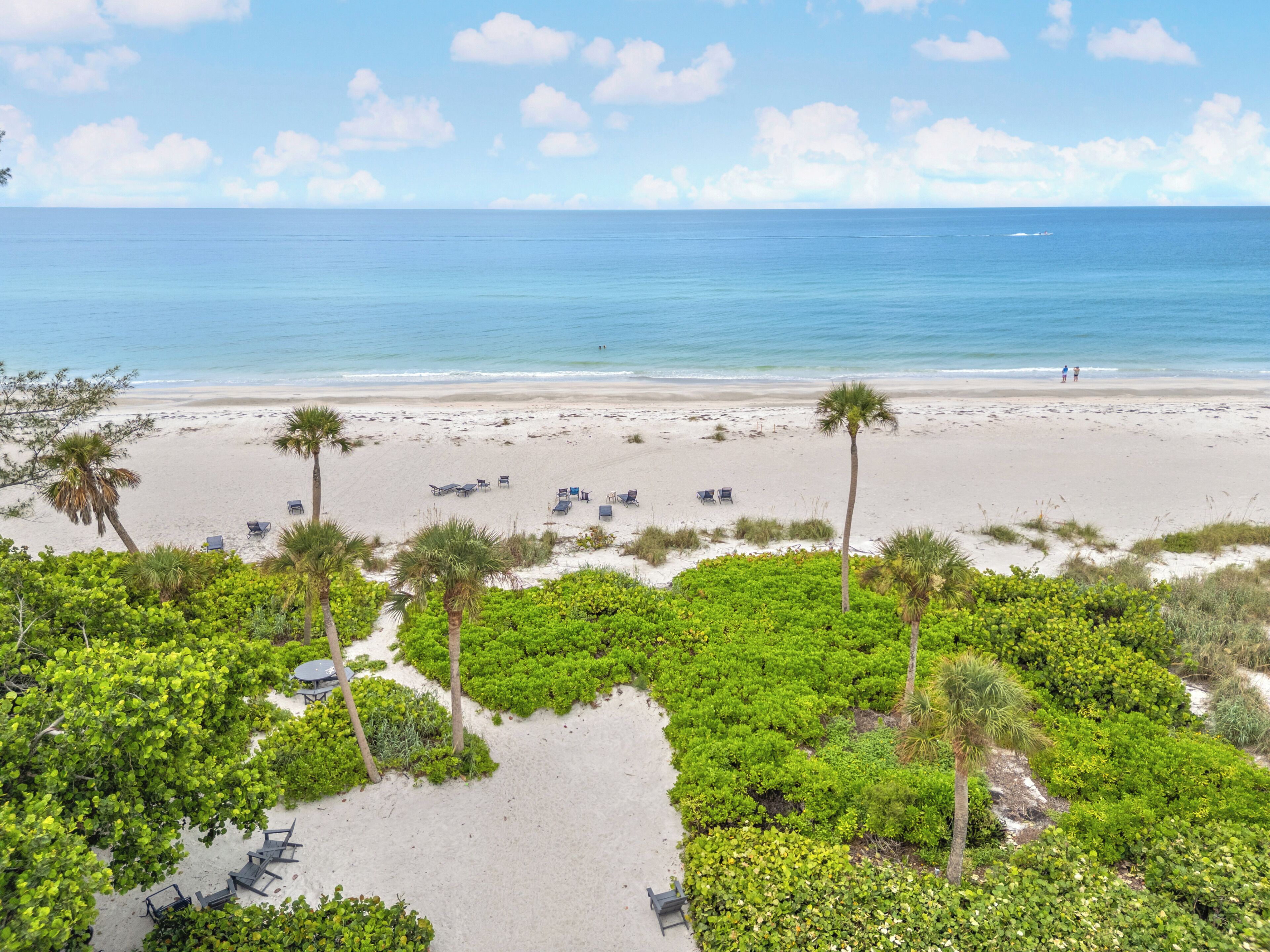 A beach with palm trees, lounge chairs, and a clear view of the ocean.