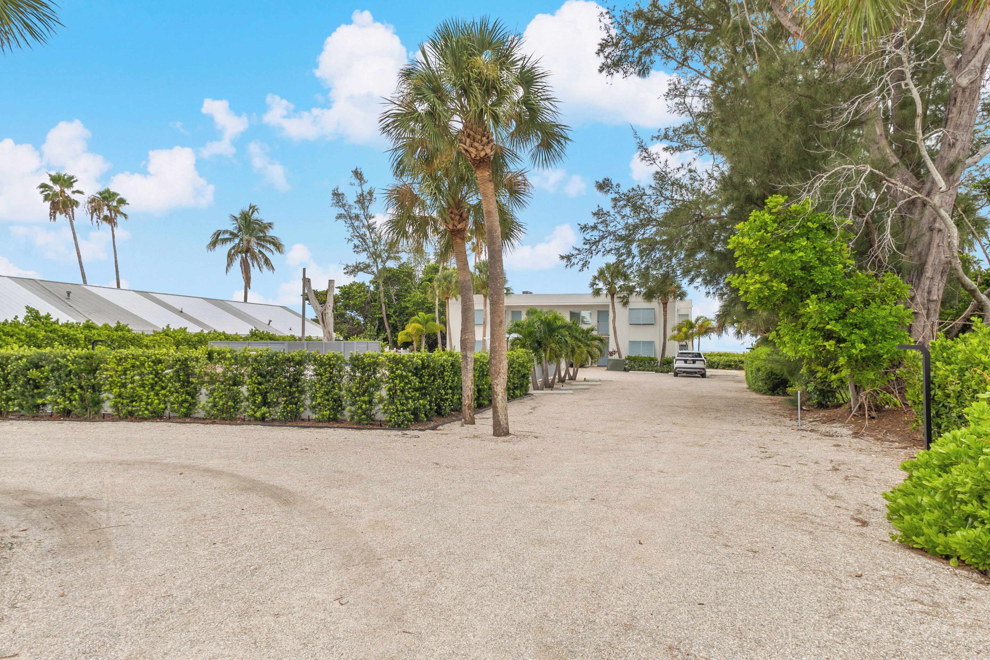 A gravel driveway leading to a building with a white facade, surrounded by palm trees and other greenery.