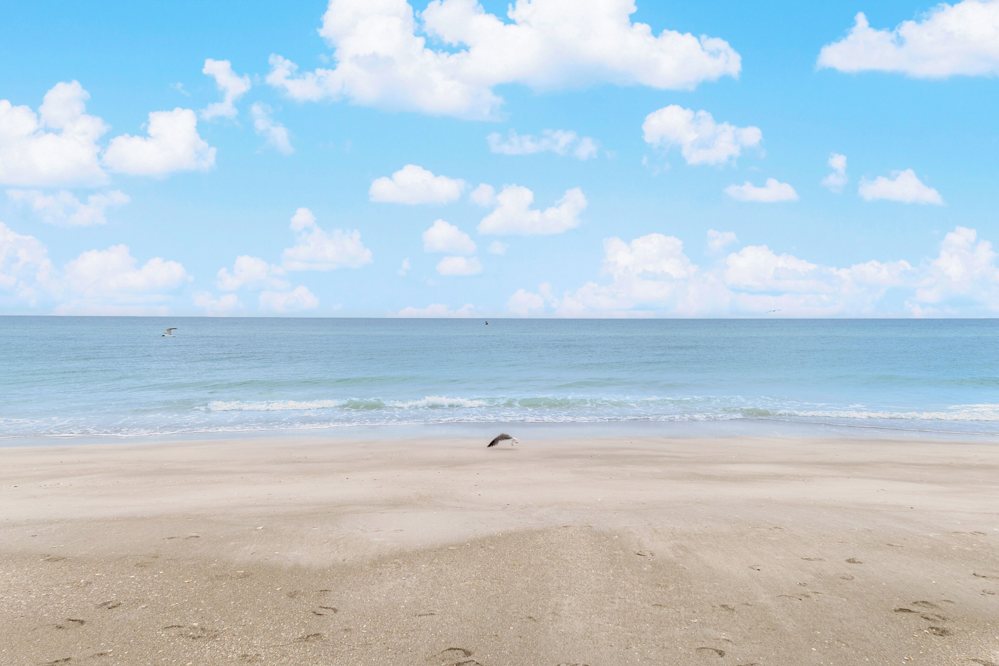 Ein Strand mit blauem Himmel und ruhiger See.