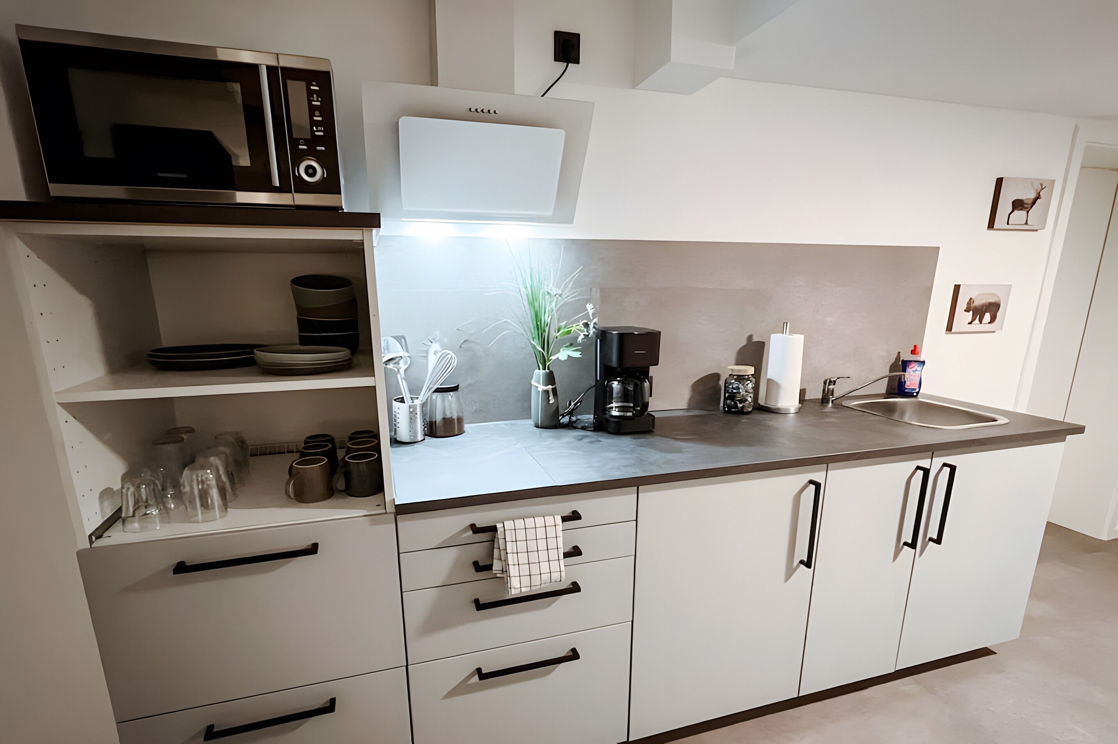Coffee/tea maker, fridge, microwave, oven
