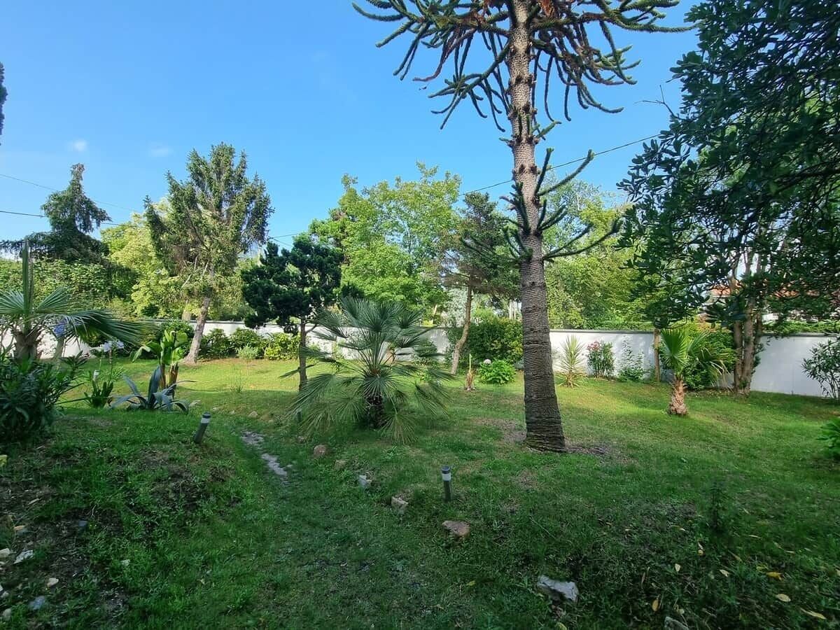 Un jardin bien entretenu, avec divers arbres et arbustes, un ciel dégagé et un mur blanc en arrière-plan.