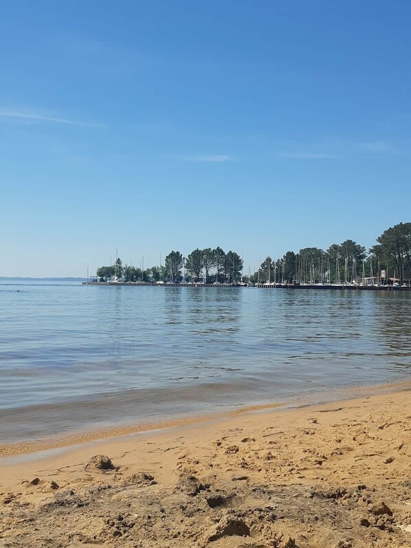 Una playa con mar tranquilo, orilla arenosa y una fila de árboles y edificios al fondo.