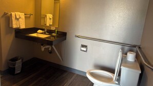 A bathroom with a sink, mirror, toilet, and a handrail.